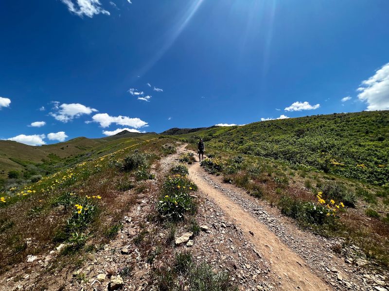 West Grandeur Peak Trail