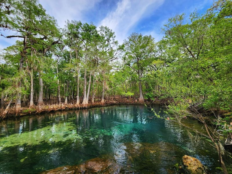 Kayaking And Canoeing On The Suwannee River