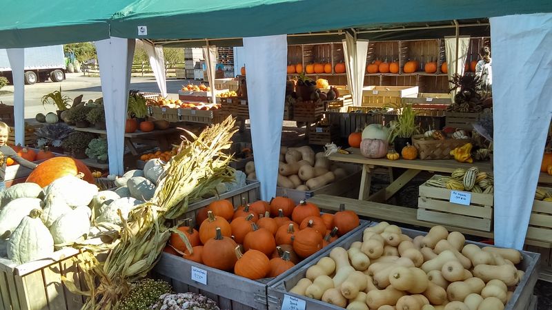 West Orchards Farm Market, Perry