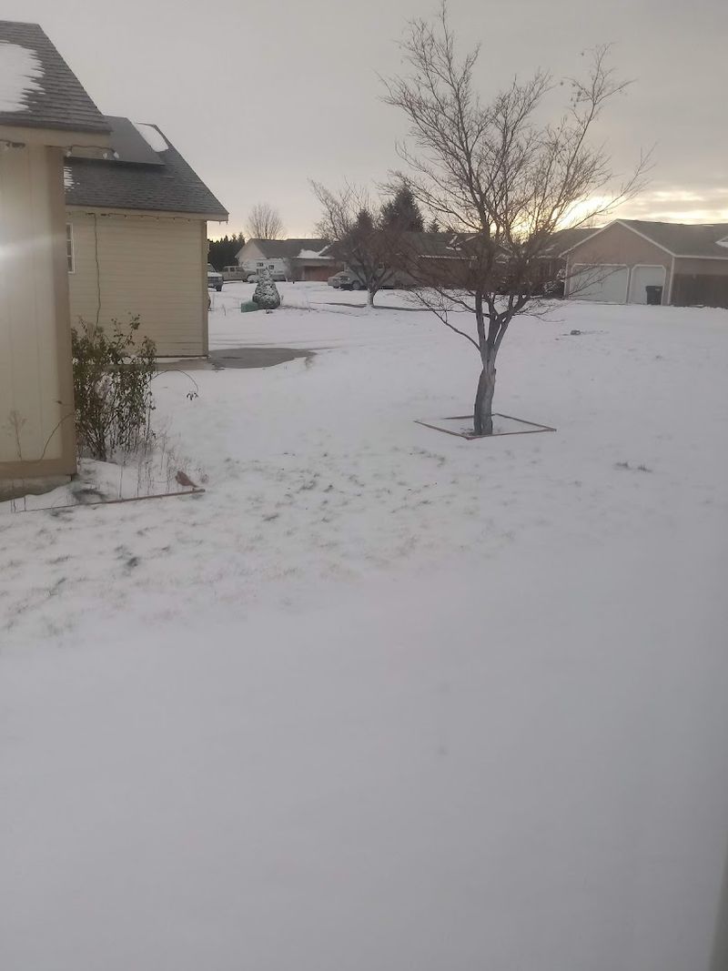West Pasco, Washington
