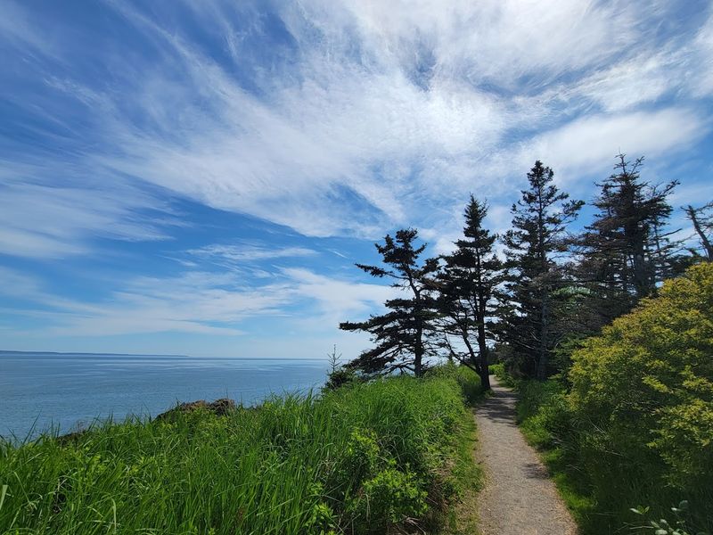 Coastal Hiking Trails With Ocean Views