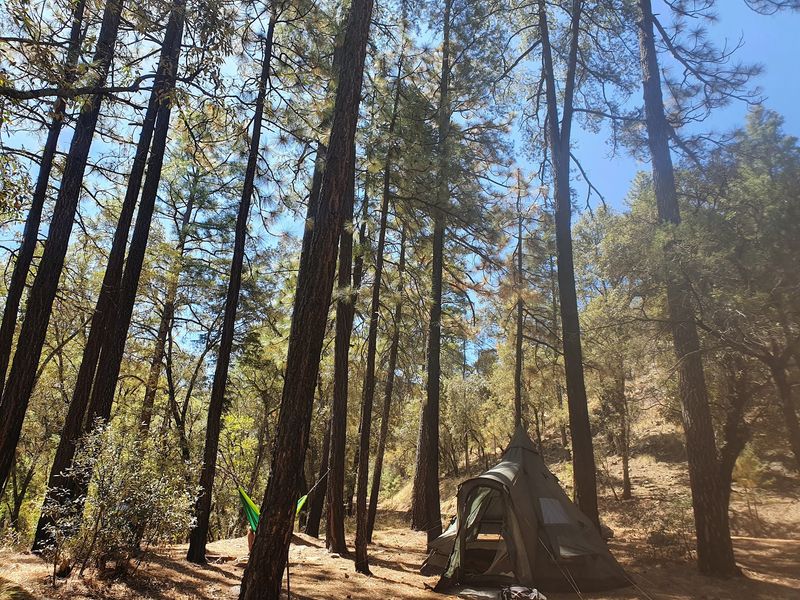 West Turkey Creek Dispersed Camping, Chiricahua Mountains