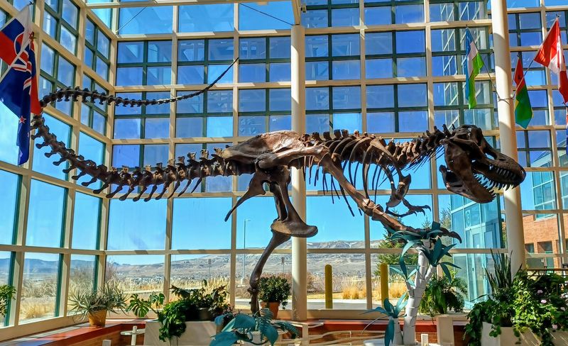 Western Wyoming Community College Natural History Museum Western Wyoming Community College Natural History Museum