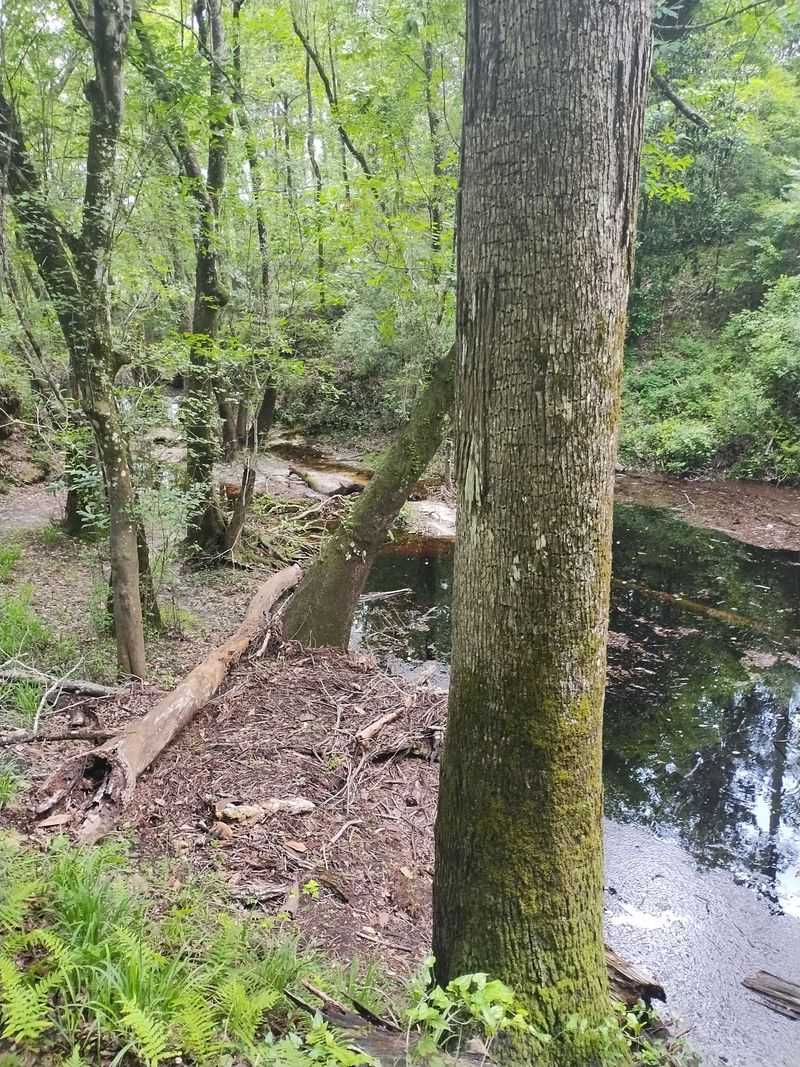 Trail Logistics And Seasonal Highlights