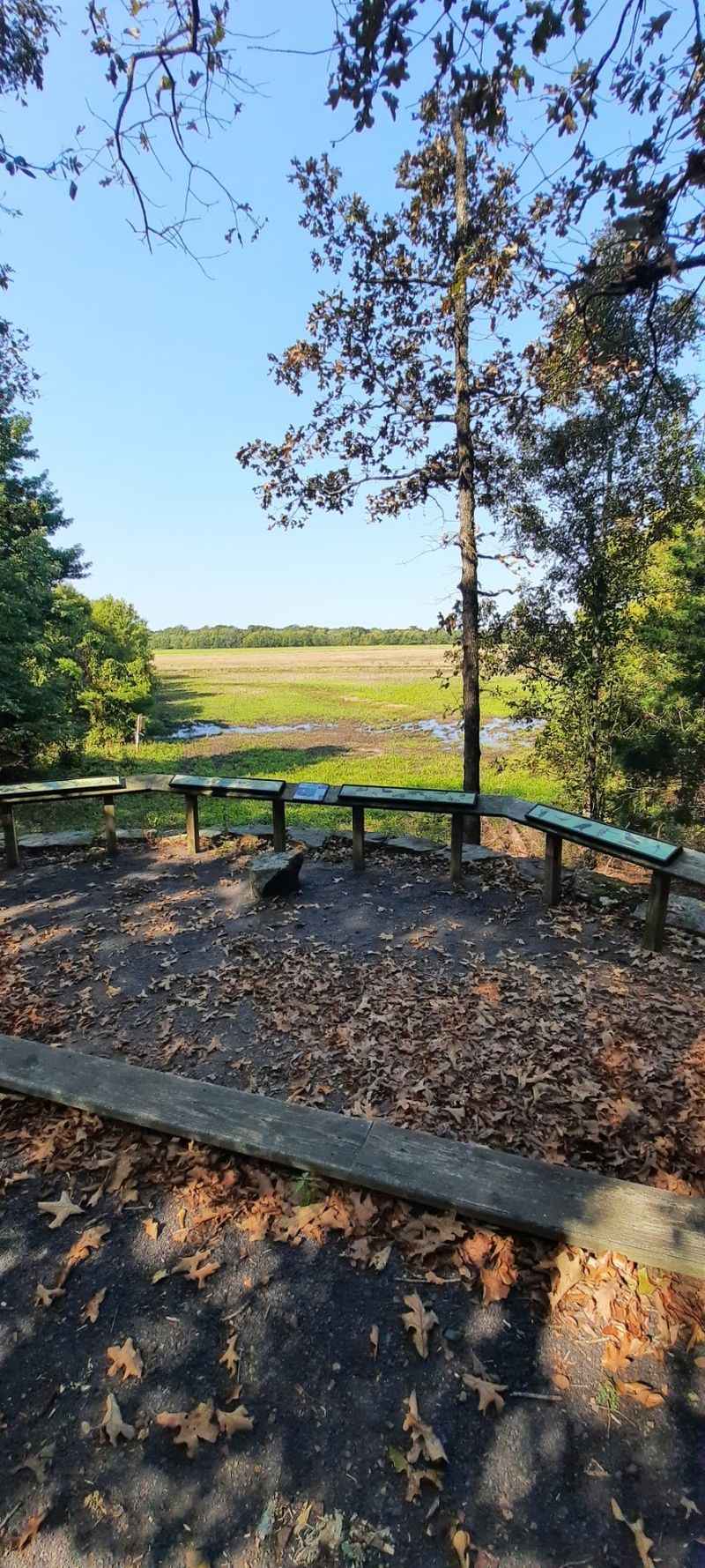 Wetland Views Open Suddenly Wetland Views Open Suddenly