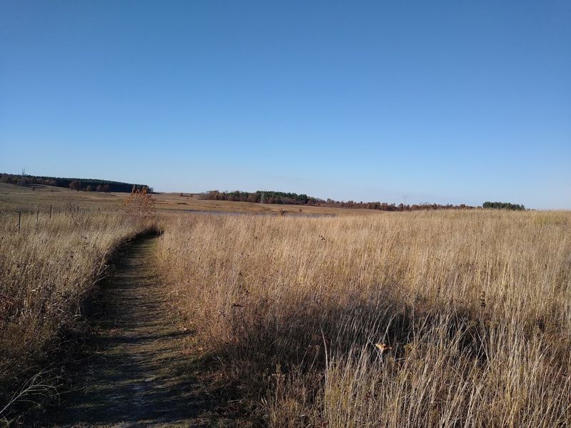 Walking Trails For All Comfort Levels