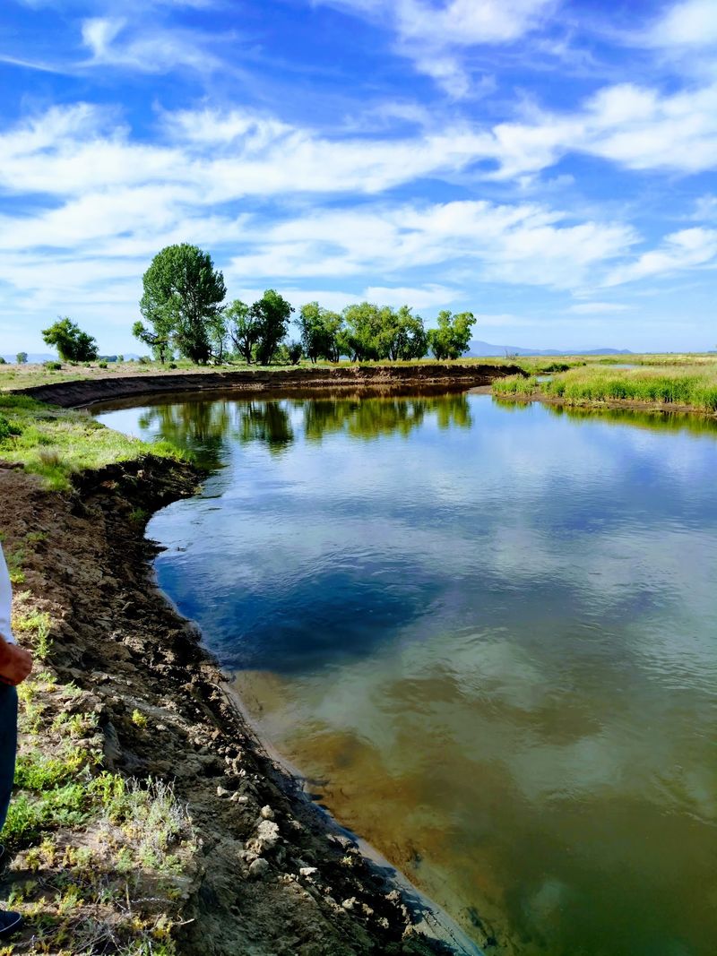 Wetlands, Desert Edges, And The Rio Grande In One Refuge
