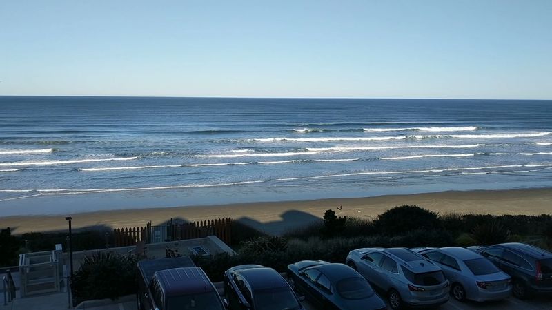 Whale Watching From The Shore Is A Legitimate Thrill Whale Watching From The Shore Is A Legitimate Thrill