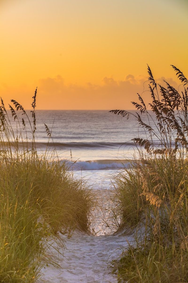 Whale Watching Off The Florida Atlantic Coast