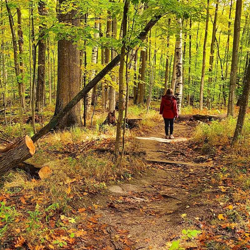 Whaleback Natural Area