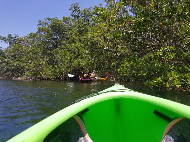 Best Ways To Experience It: Kayak, Canoe, Or Boat Tour