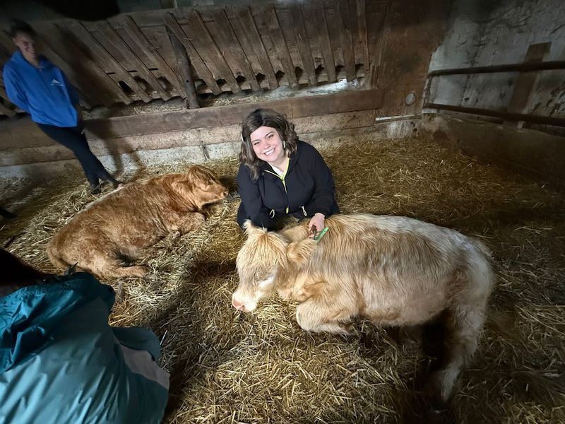 What A Real Working Farm Actually Feels Like
