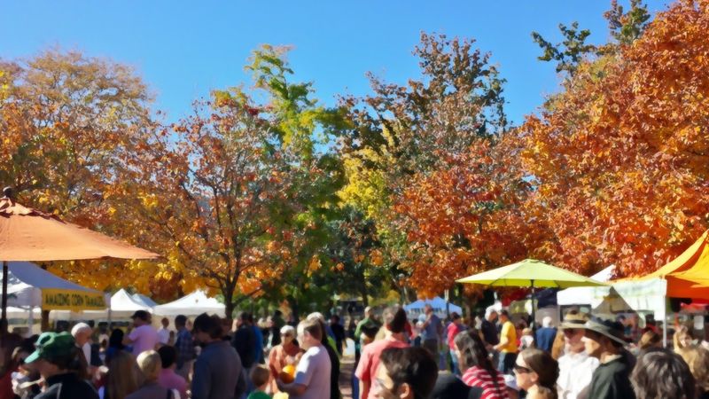 Families, Kids, and the Balloon Man: What Makes This Market a Weekend Ritual