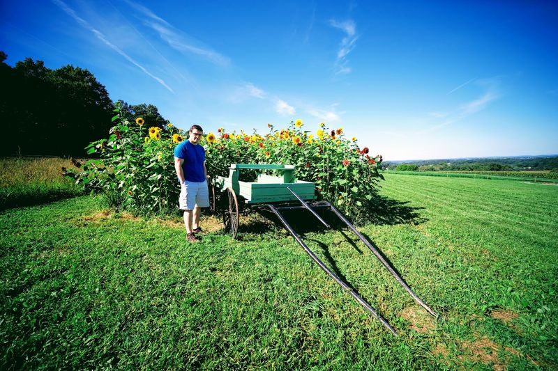 Admission Pricing And How Payments Work