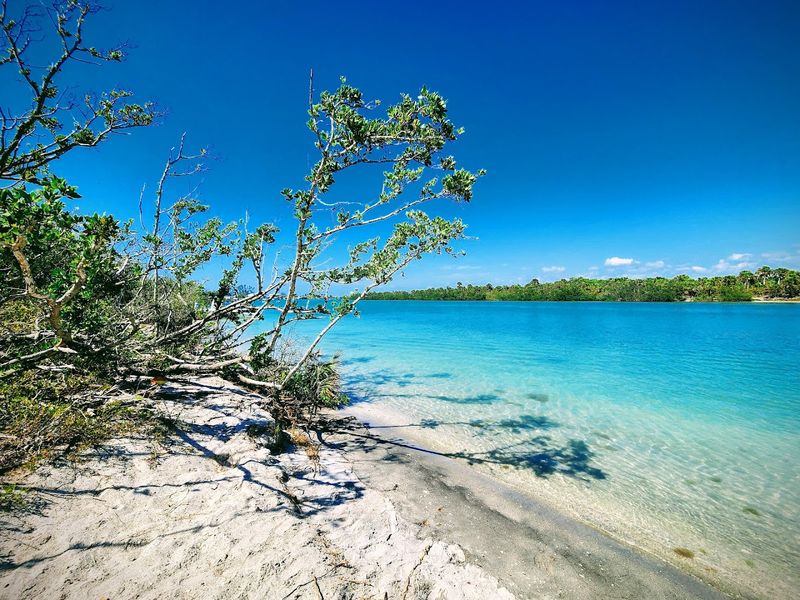 Why Stump Pass Belongs On Every Florida Bucket List
