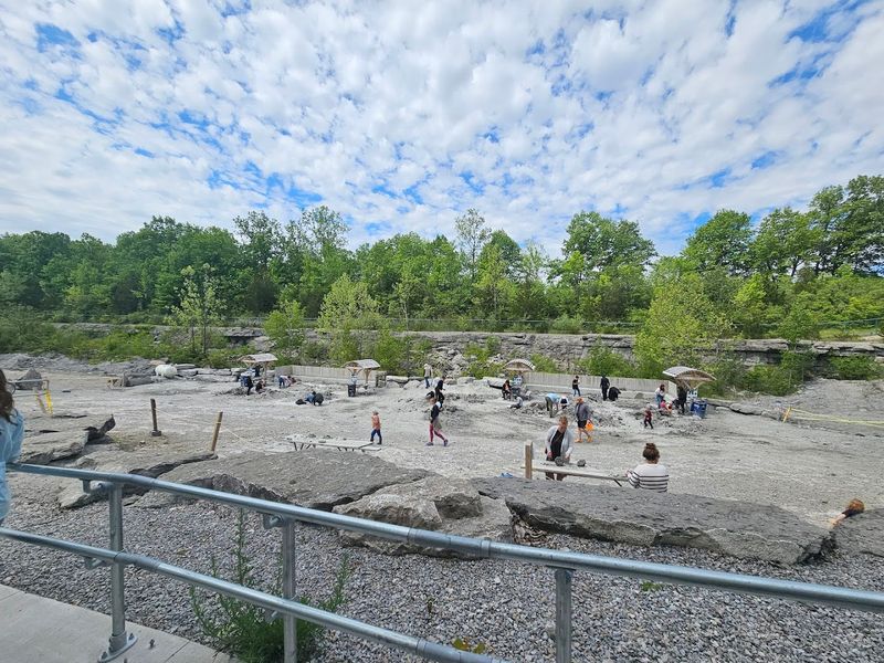 What Fossil Park Actually Is and Where to Find It