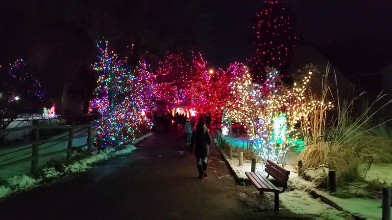 The Denver Zoo Conservation Alliance Connection You Should Know