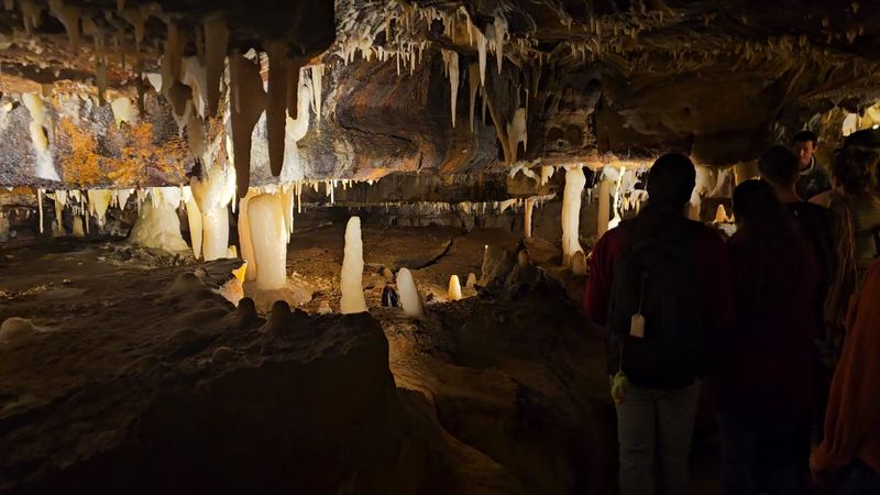 The Tour Guides Make All the Difference