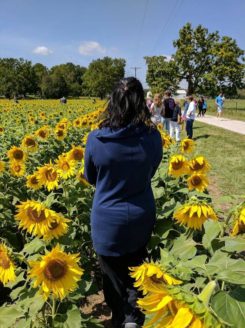 The Crowd Scene and How to Handle It