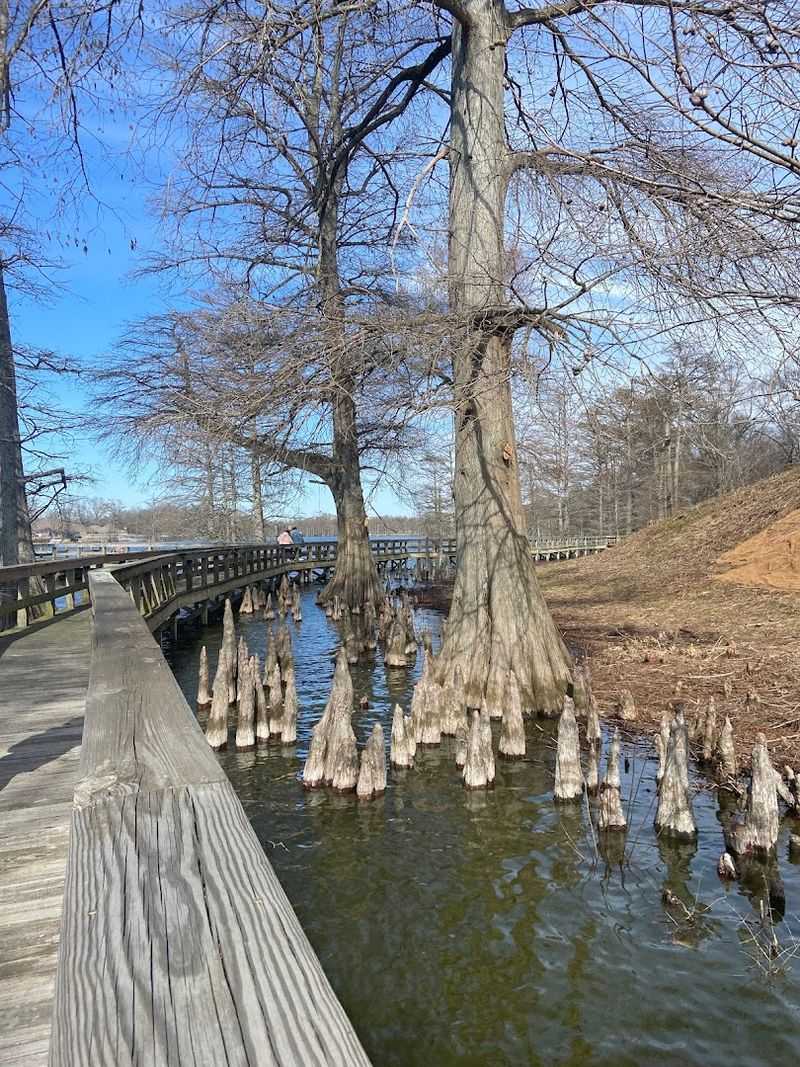 Twilight Turns The Walkway Into Something Uncanny