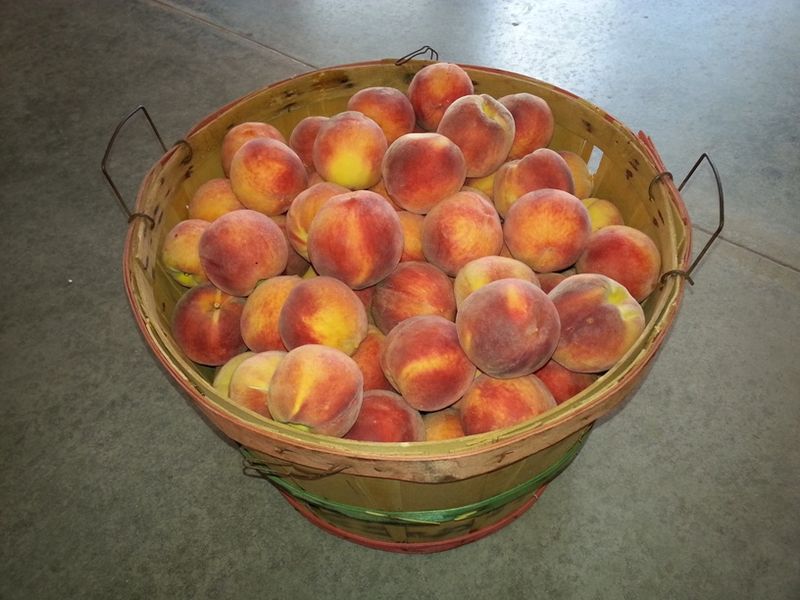 Fits Real Life Neatly