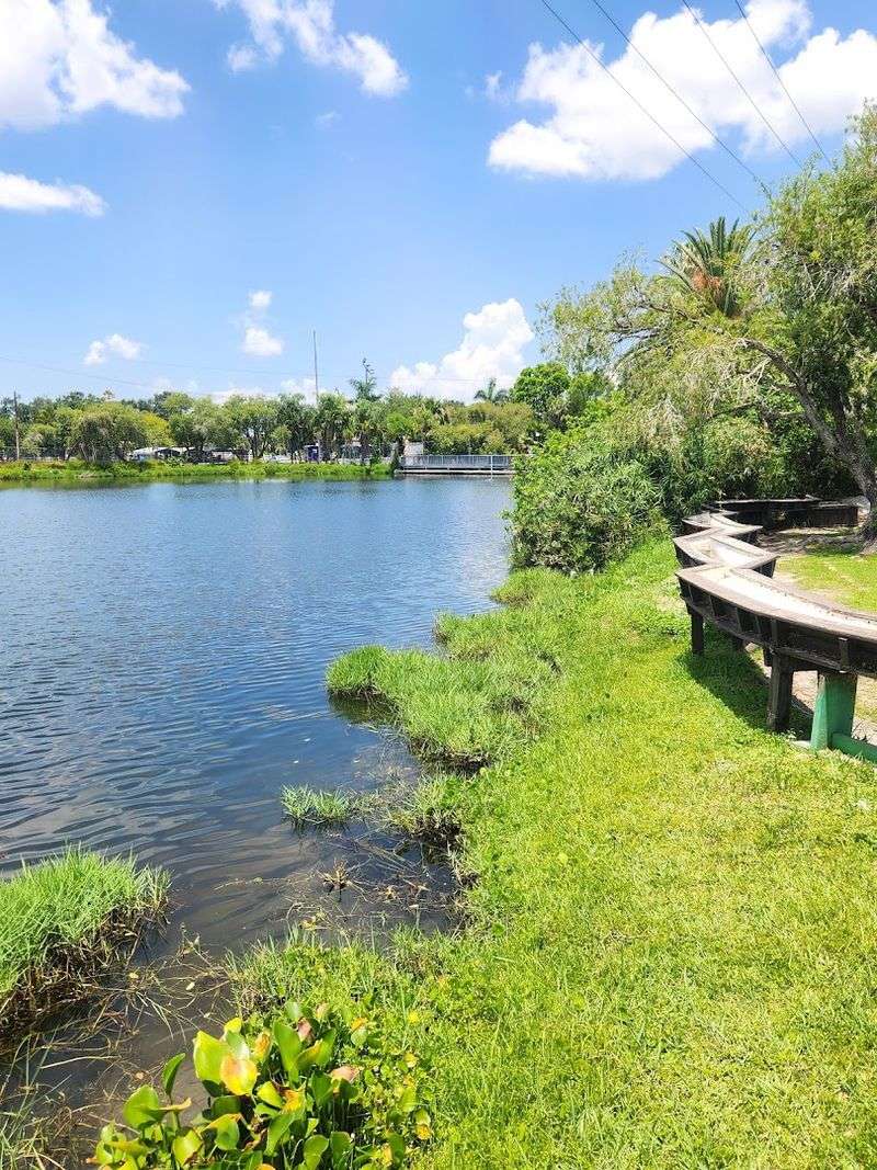 The World-Record Shell Collection That Stopped People Cold