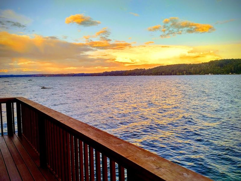 What Makes Hood Canal So Special For Oysters