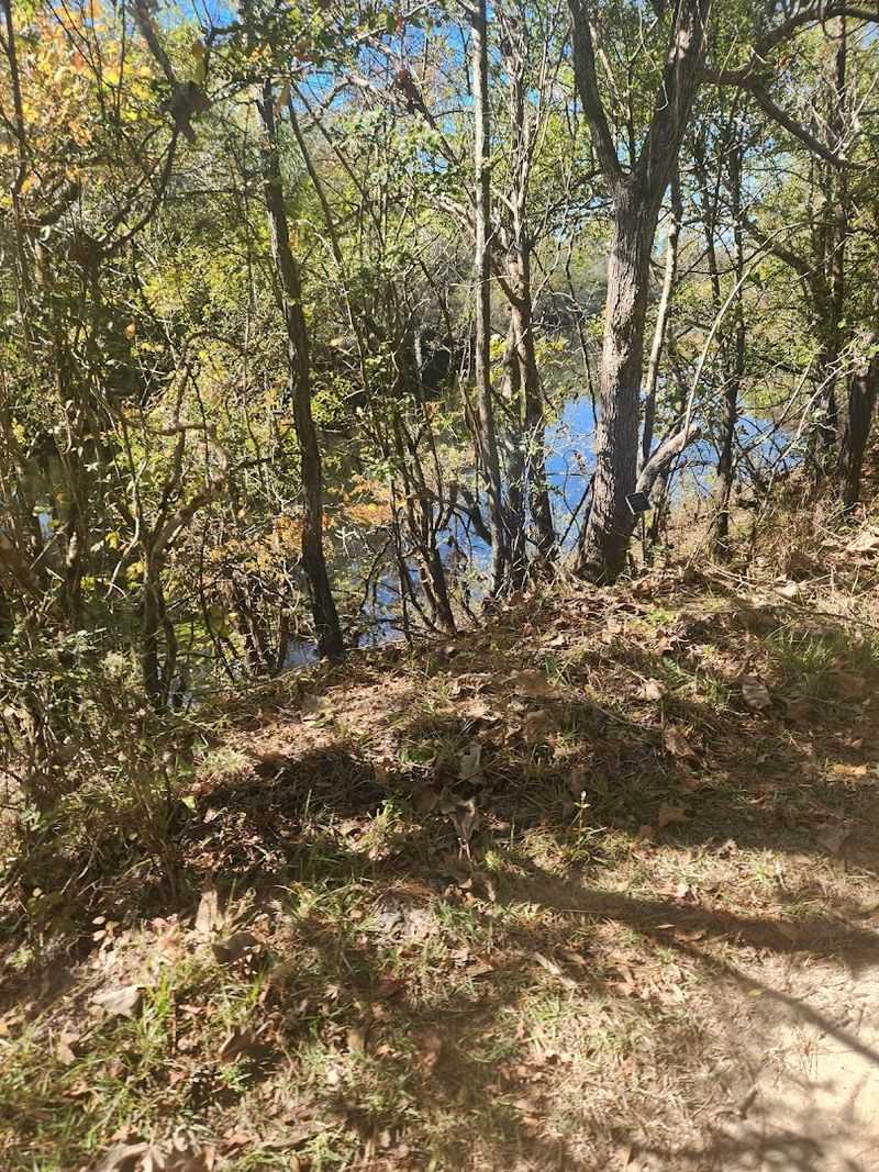 The Longest Free-Flowing Blackwater River In America