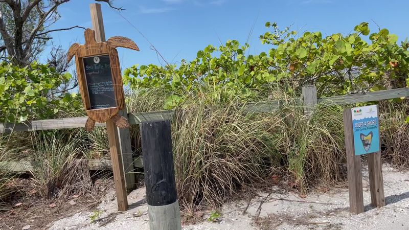 Location And How To Get There