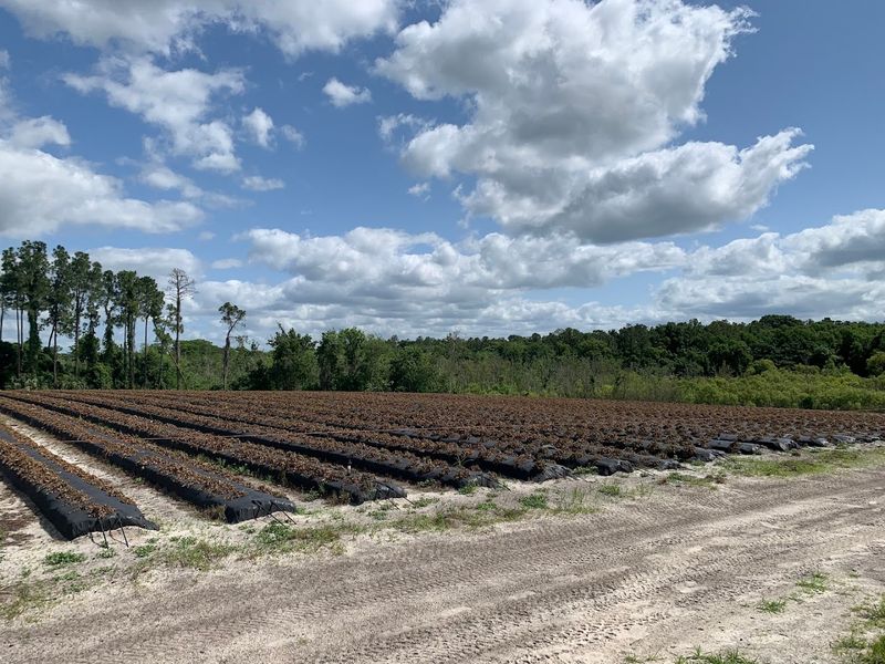 Tips For Making The Most Of Your Festival Day