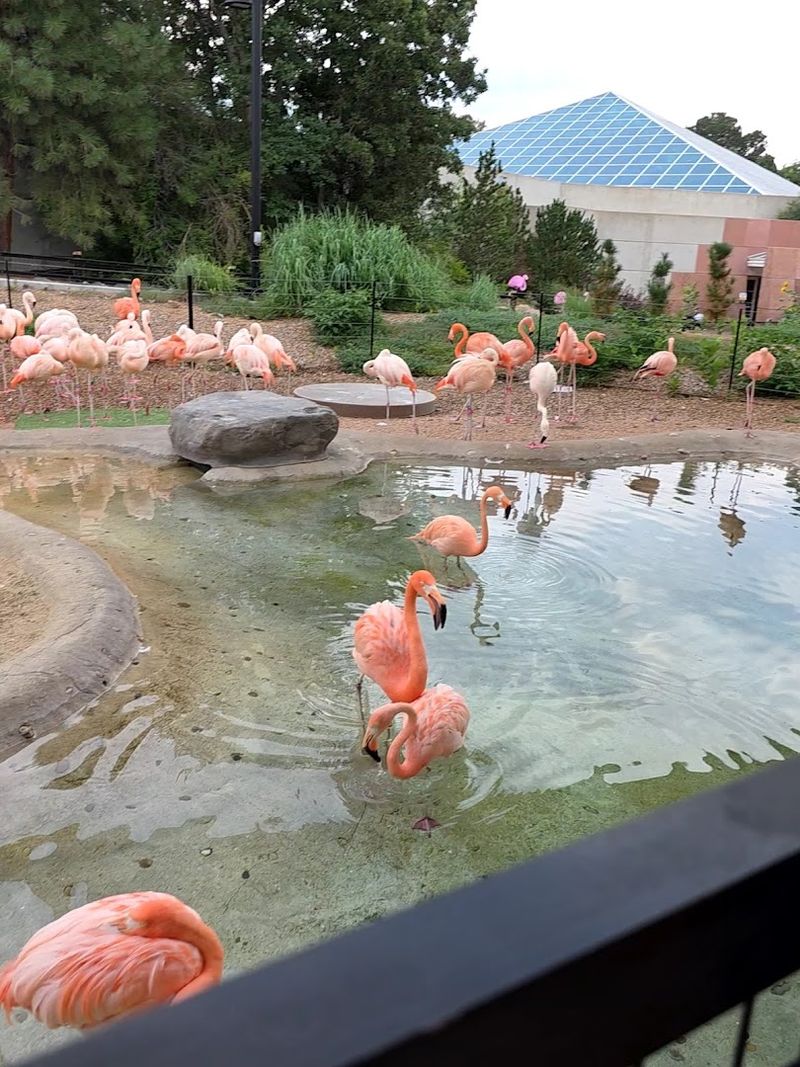 What Makes These Birds So Special