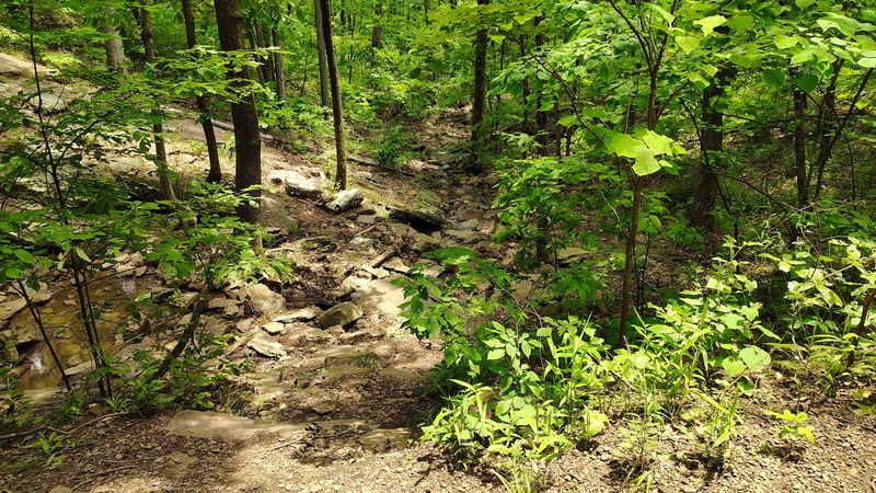 The Short Hike Experience