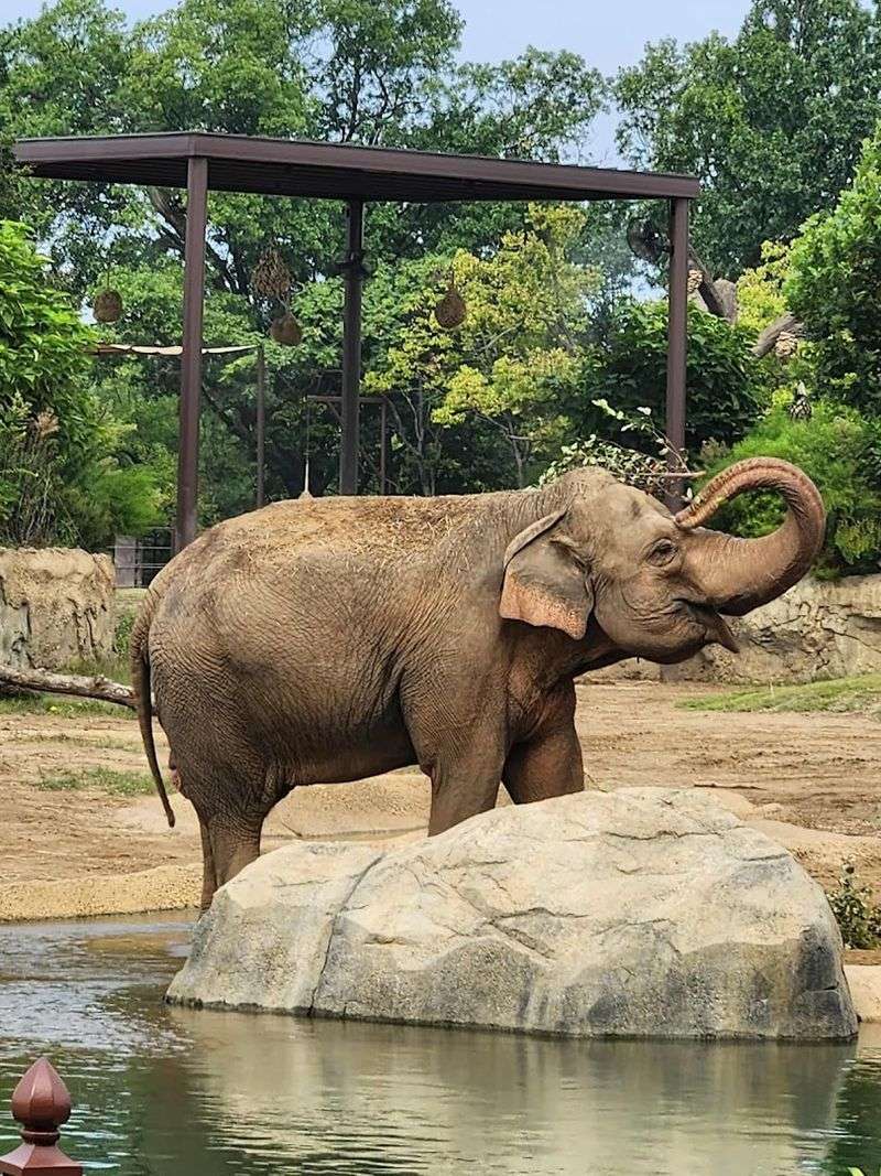 Tips for Getting the Most Out of Your Visit