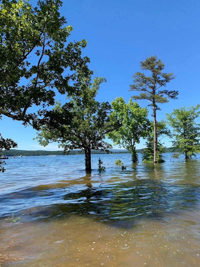 Small Details Visitors Notice The Moment They Arrive