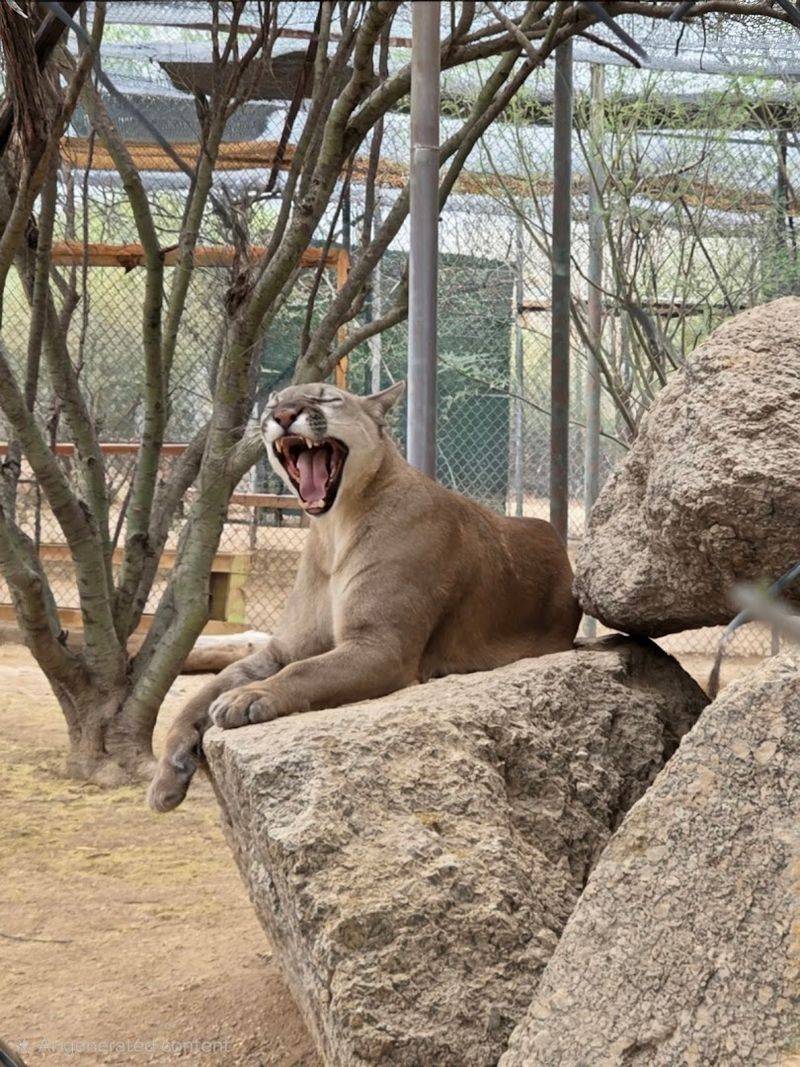 What Makes This Place Different From A Zoo