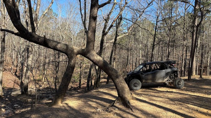 Planning Your Ultimate Arkansas Escape