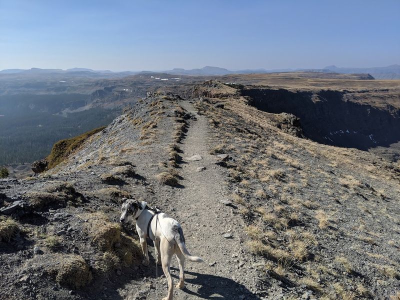 The Trail Stats Every Hiker Needs Before Lacing Up