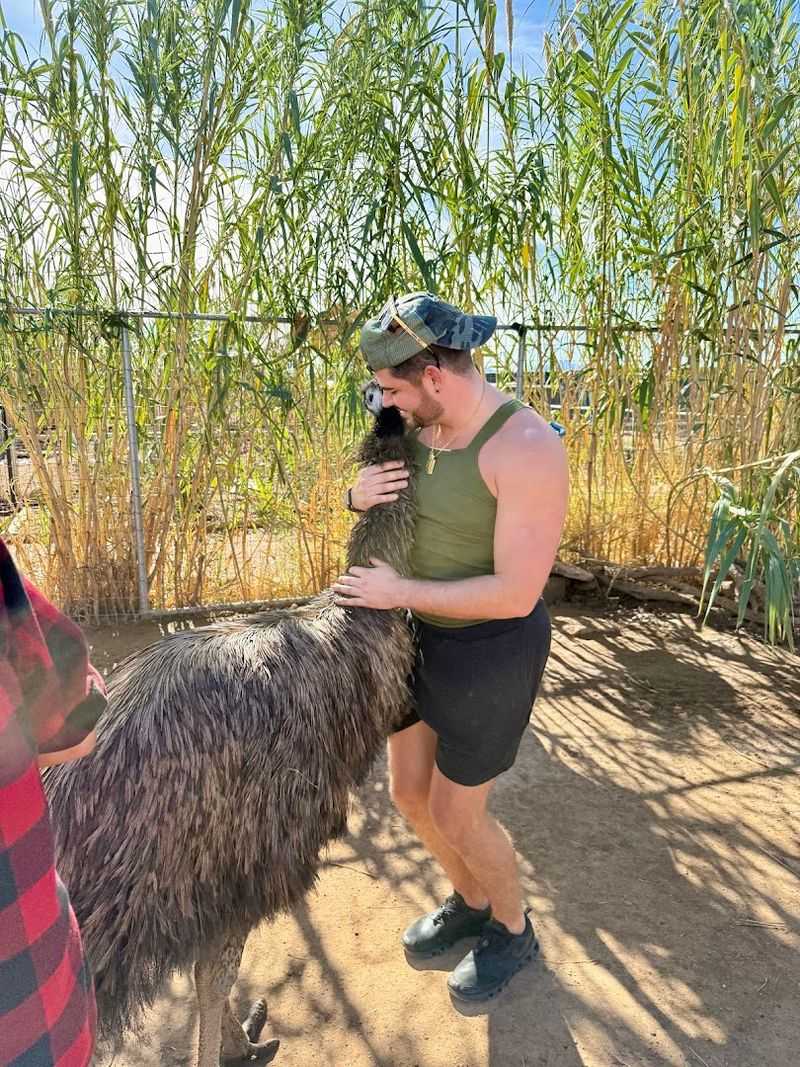 What Marana, Arizona Adds To The Experience