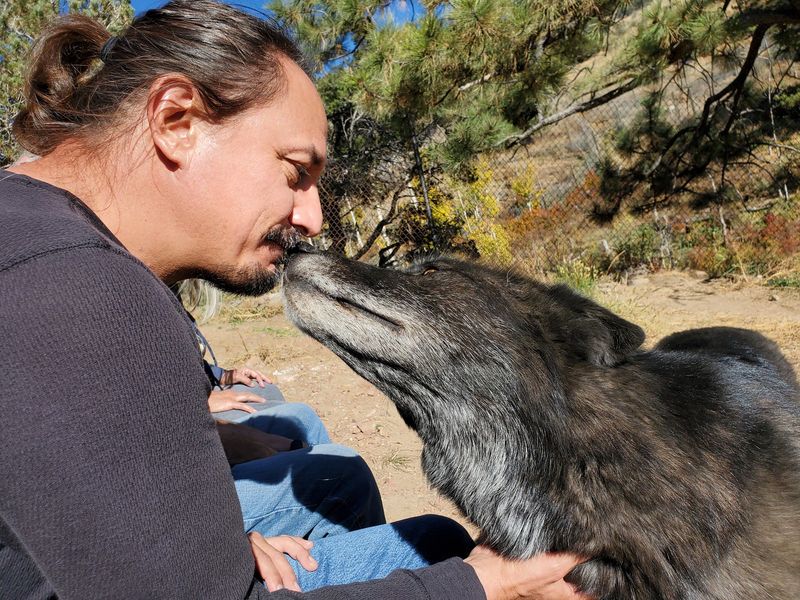 What Mission: Wolf Actually Is And Why It Exists