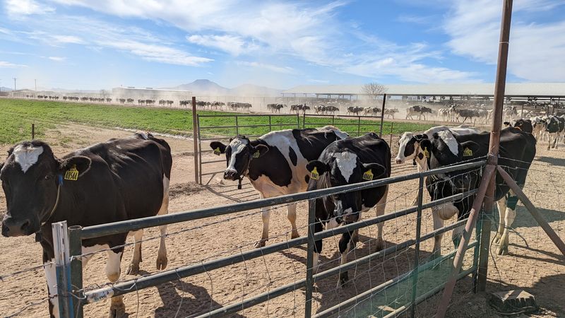 The Guided Farm Tour Experience