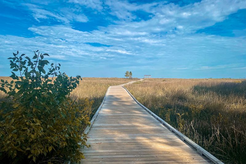 What The Boardwalk Walk Feels Like What The Boardwalk Walk Feels Like