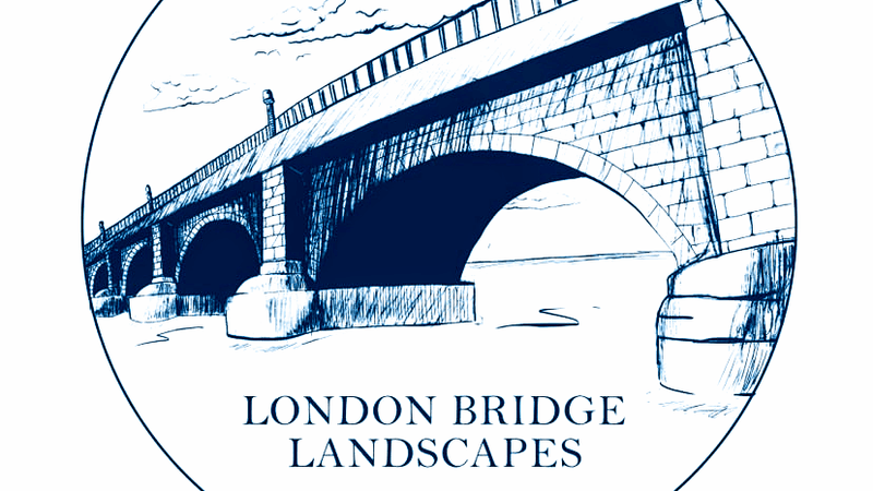 The Desert Setting That Makes Everything Stranger