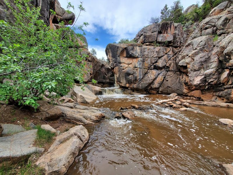 Why Locals Keep Coming Back