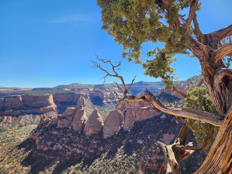 Spring Conditions Make This Visit Distinctly Different