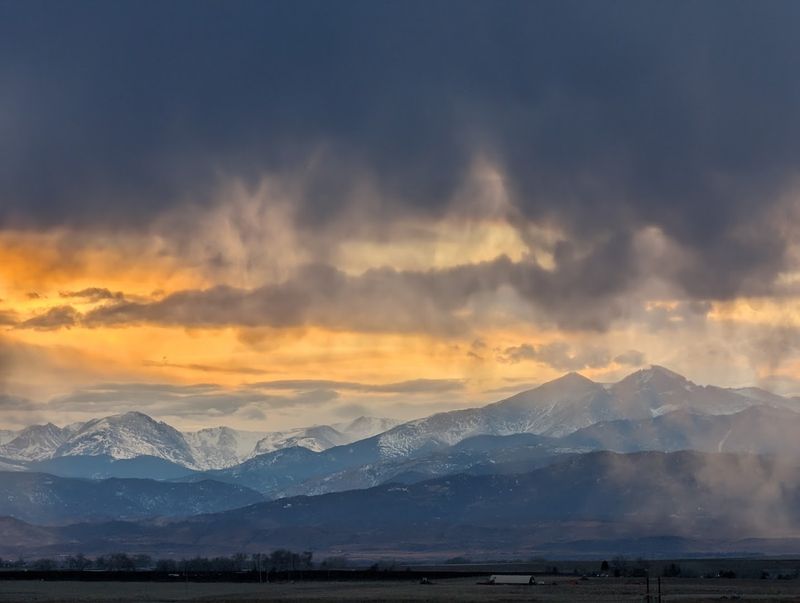 Prairie Dogs, Rabbits, and Rattlesnake Warnings