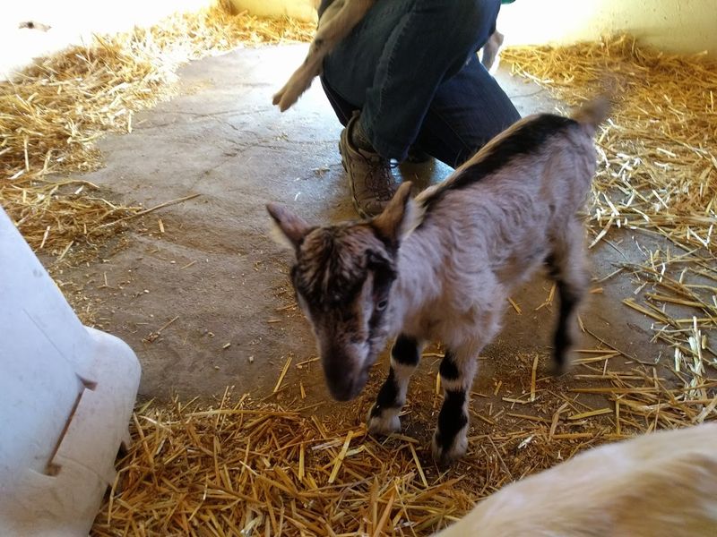 How Families, Couples, and Solo Visitors All Fit In