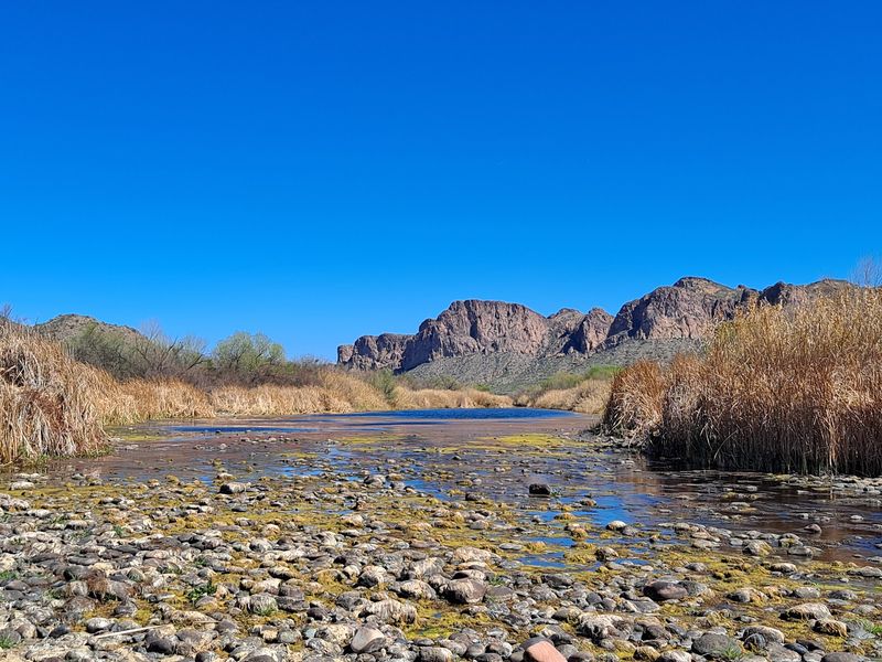 What The Landscape Actually Looks Like
