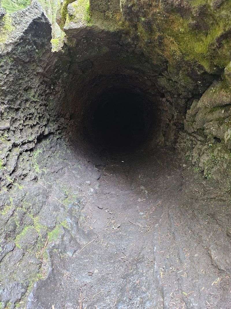 What The Lava Casts Actually Look Like Up Close