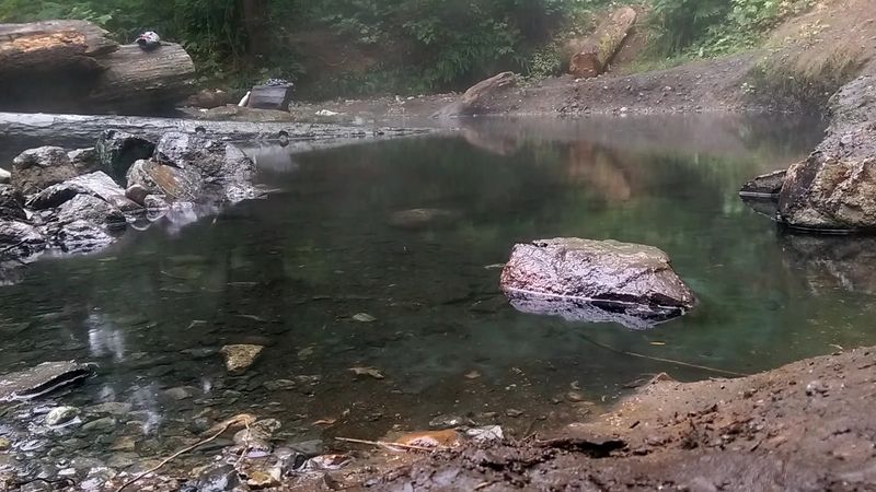 What The Pools Look Like Up Close