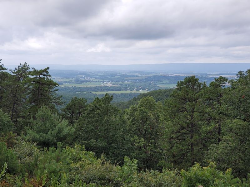 What The Ridge Overlook Trail Actually Looks Like